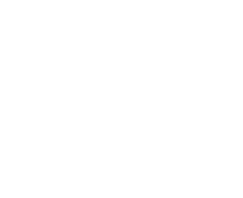 La Fiesta - NEW logo